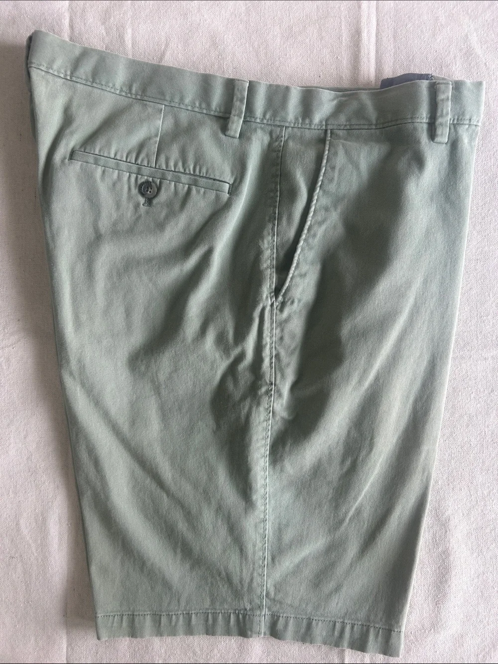 Banana Republic Mint Green Flat-Front Cotton Shorts (M-2)